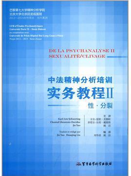 中法精神分析培訓實務教程2