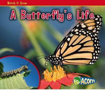 A Butterfly's Life