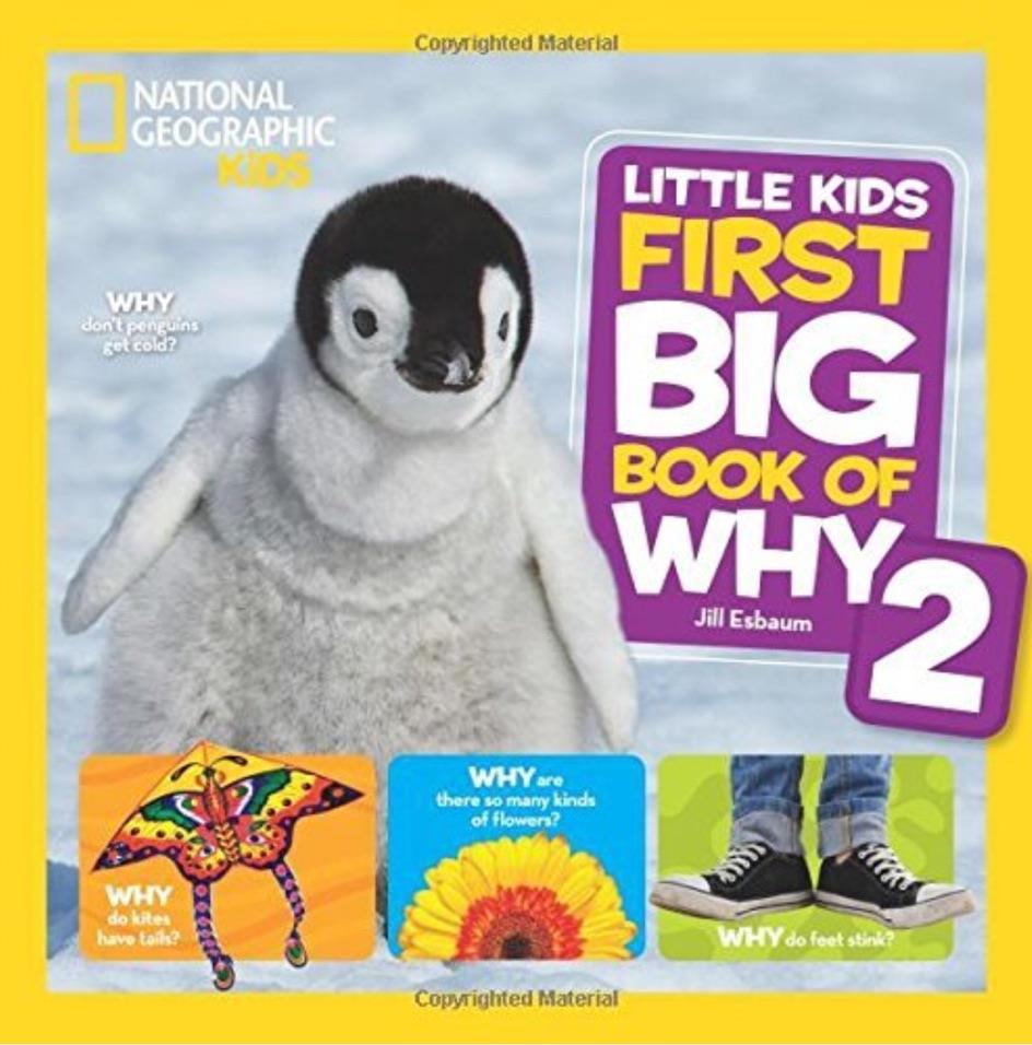 Little Kids First Big Book of Why 2