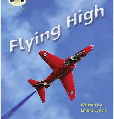 Phonics Bug: Flying High