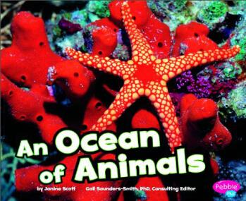 An Ocean of Animals (Pebble Plus: Habitats Around the World)  [4歲及以上]