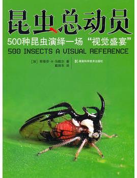 昆虫总动员--500种昆虫演绎一场"视觉盛宴"