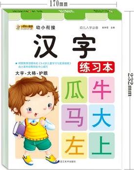 幼小銜接入學(xué)必備*漢字練習(xí)本