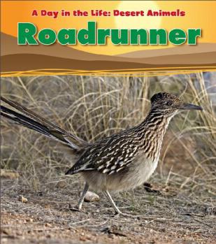 Roadrunner (A Day in the Life: Desert Animals)