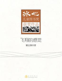 飛翔的感覺