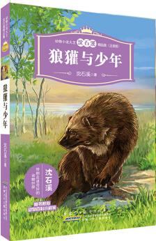 動物小說大王沈石溪精品集(注音版)·狼獾與少年