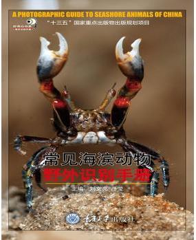 常見海濱動物野外識別手冊