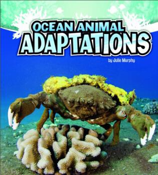 Ocean Animal Adaptations (A+ Books Amazing Animal Adaptations)  [5歲及以上]