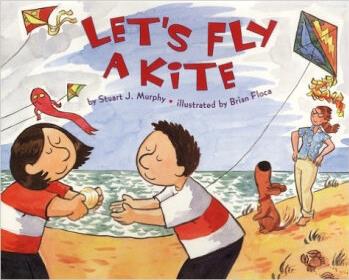 Let's Fly a Kite