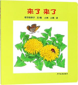 幼幼成長(zhǎng)圖畫書 紙板書 來(lái)了來(lái)了 [0-2歲]