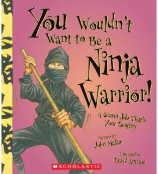 You Wouldn't Want to Be a Ninja Warrior!: A Secret Job That's Your Destiny [Library Binding]