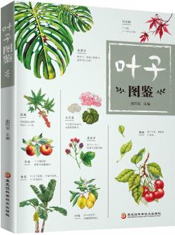 葉子圖鑒(本書(shū)將帶你鑒賞各種各樣的植物葉子! )