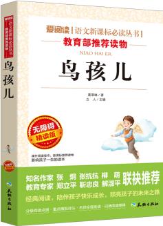 鳥孩兒/語文新課標必讀叢書分級課外閱讀(無障礙閱讀彩插本)