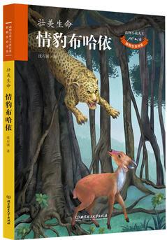 動物小說大王沈石溪 致敬生命書系——情豹布哈依