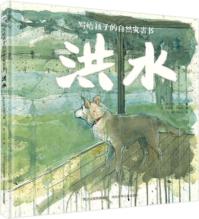 寫給孩子的自然災(zāi)害書-洪水