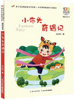 百年百部中國(guó)兒童文學(xué)經(jīng)典書系: 小布頭奇遇記