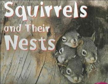 Squirrels and Their Nests (Animal Homes) 松鼠和它們的巢