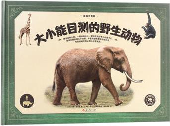 動物大百科·大小能目測的野生動物