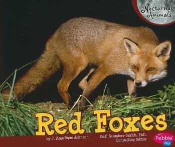 Red Foxes (Pebble Plus: Nocturnal Animals)  [4歲及以上]