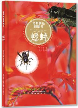 動(dòng)物美繪翻翻書(shū) 蟋蟀