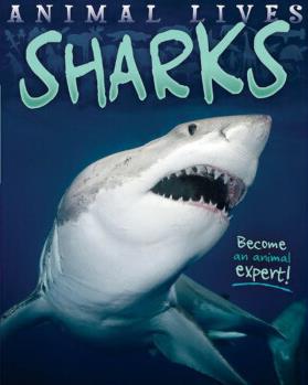 Animal Lives: Sharks