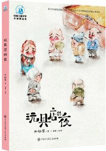 中國兒童文學(xué)大視野叢書--玩具店的夜