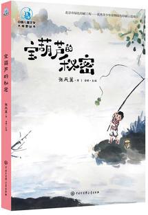 中國(guó)兒童文學(xué)大視野叢書--寶葫蘆的秘密