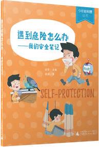 少年輕科普叢書: 遇到危險怎么辦--我的安全筆記