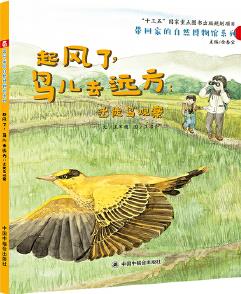 中國原創(chuàng)圖畫書: 起風了, 鳥兒去遠方 遷徙鳥觀察