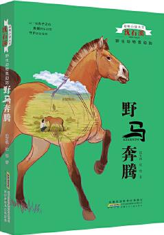 動物小說大王沈石溪: 野生動物救助站-野馬奔騰