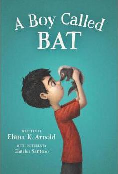 A Boy Called Bat