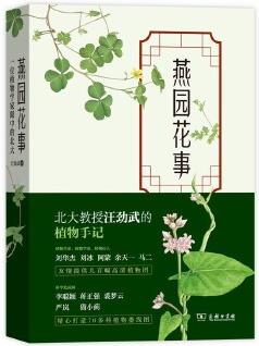 燕園花事——一位植物學(xué)家眼中的北大