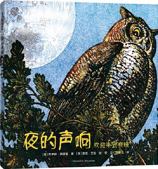 夜的聲響: 歡迎來(lái)到夜晚 (紐伯瑞銀獎(jiǎng)作品)