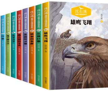 雄鷹飛翔 沈石溪動物小說全集系列]