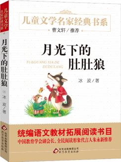 兒童文學(xué)名家經(jīng)典書系: 月光下的肚肚狼