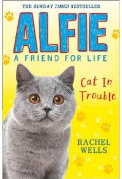 Alfie - Cat In Trouble