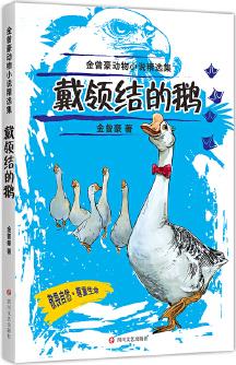 金曾豪動物小說精選集: 戴領(lǐng)結(jié)的鵝