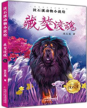 《兒童文學(xué)》名家經(jīng)典書系·沈石溪動物小說繪--雄鷹金閃子