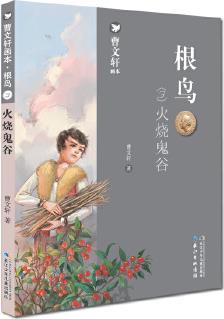 曹文軒畫本·根鳥·火燒鬼谷