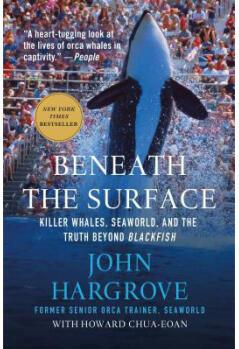 Beneath the Surface: Killer Whales, Seawor...