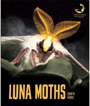 Luna Moths