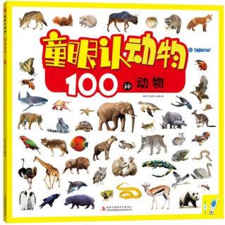 童眼認動物: 100種動物