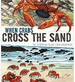 When Crabs Cross the Sand: The Christmas Island