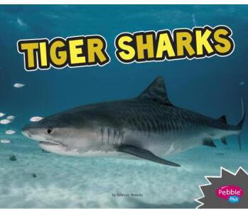 Tiger Sharks