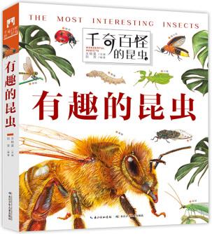 千奇百怪的昆蟲: 有趣的昆蟲 孩子愛不釋手的昆蟲翻翻書 [4-8歲]