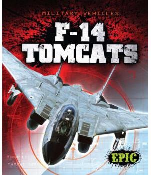 F-14 Tomcats