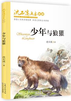 沈石溪畫本(新版)·少年與狼獾 動物小說大王沈石溪經(jīng)典作品 [8-12歲]