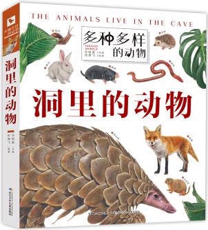 多種多樣的動物·洞里的動物 一套孩子愛不釋手的動物翻翻書 [5-8歲]