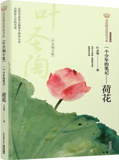 新版美冠純美閱讀書系: 一個少年的筆記·荷花(葉圣陶專集) [9-14歲]