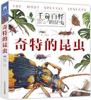 千奇百怪的昆蟲: 奇特的昆蟲 孩子愛不釋手的昆蟲翻翻書 [4-8歲]